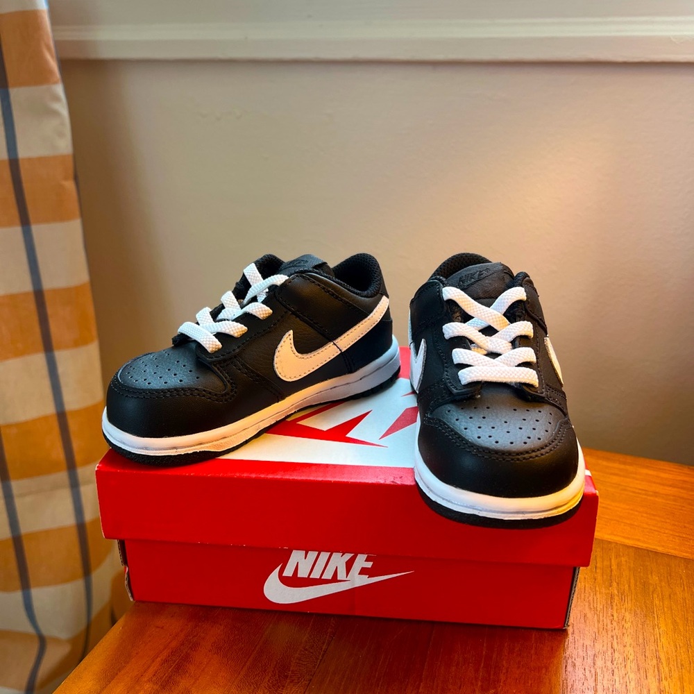 Size 7c kids Nike dunks brand new!